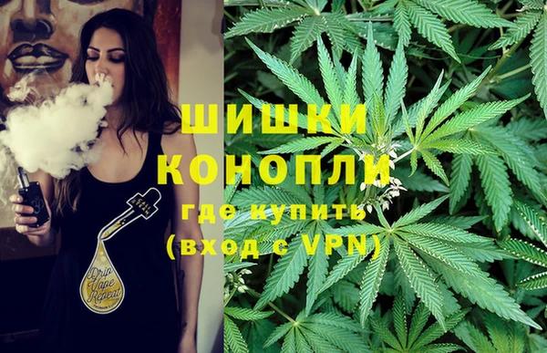 гашик Лиски