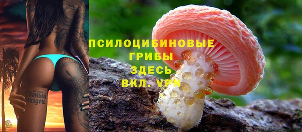 дурь Лабытнанги