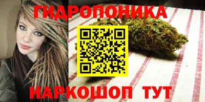 соль ск Канаш