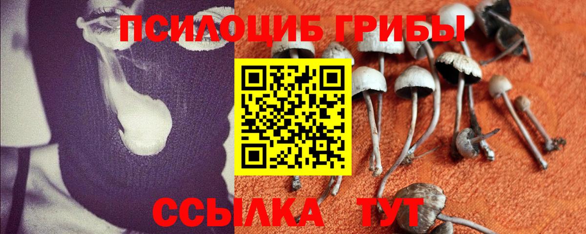 Галлюциногенные грибы GOLDEN TEACHER  Псилоцибиновые грибы GOLDEN TEACHER  Карабулак 