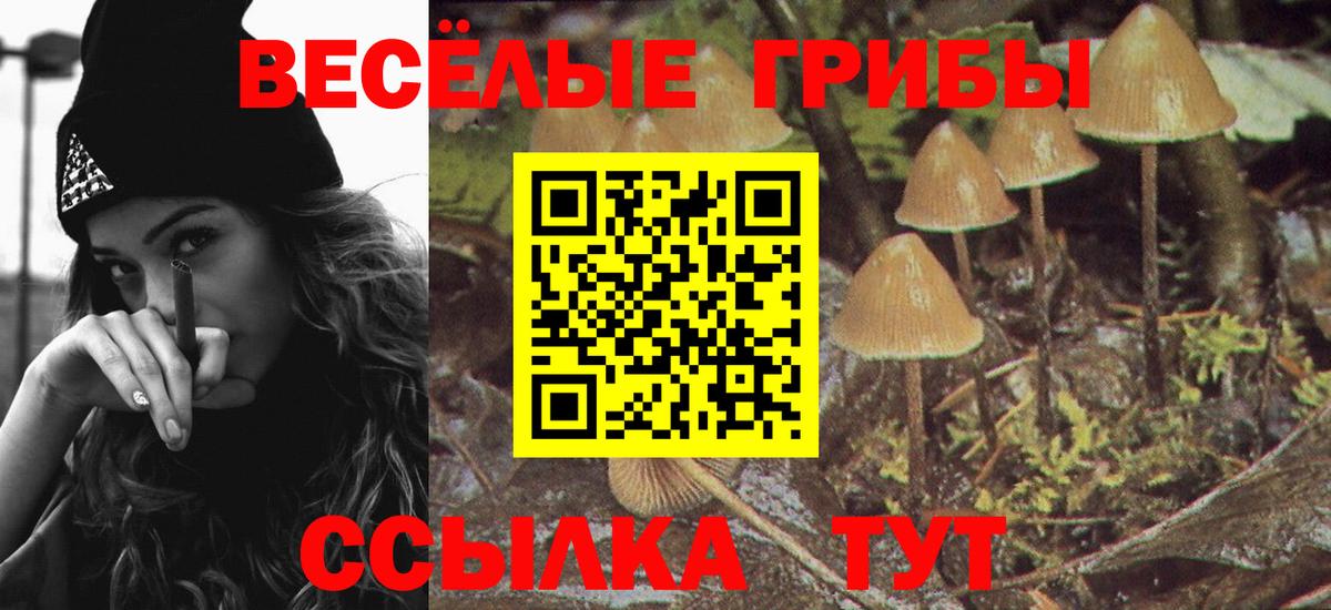 Карабулак  Галлюциногенные грибы Magic Shrooms  Вход с VPN 